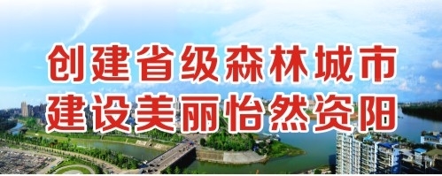 最新肏屄网站创建省级森林城市 建设美丽怡然资阳